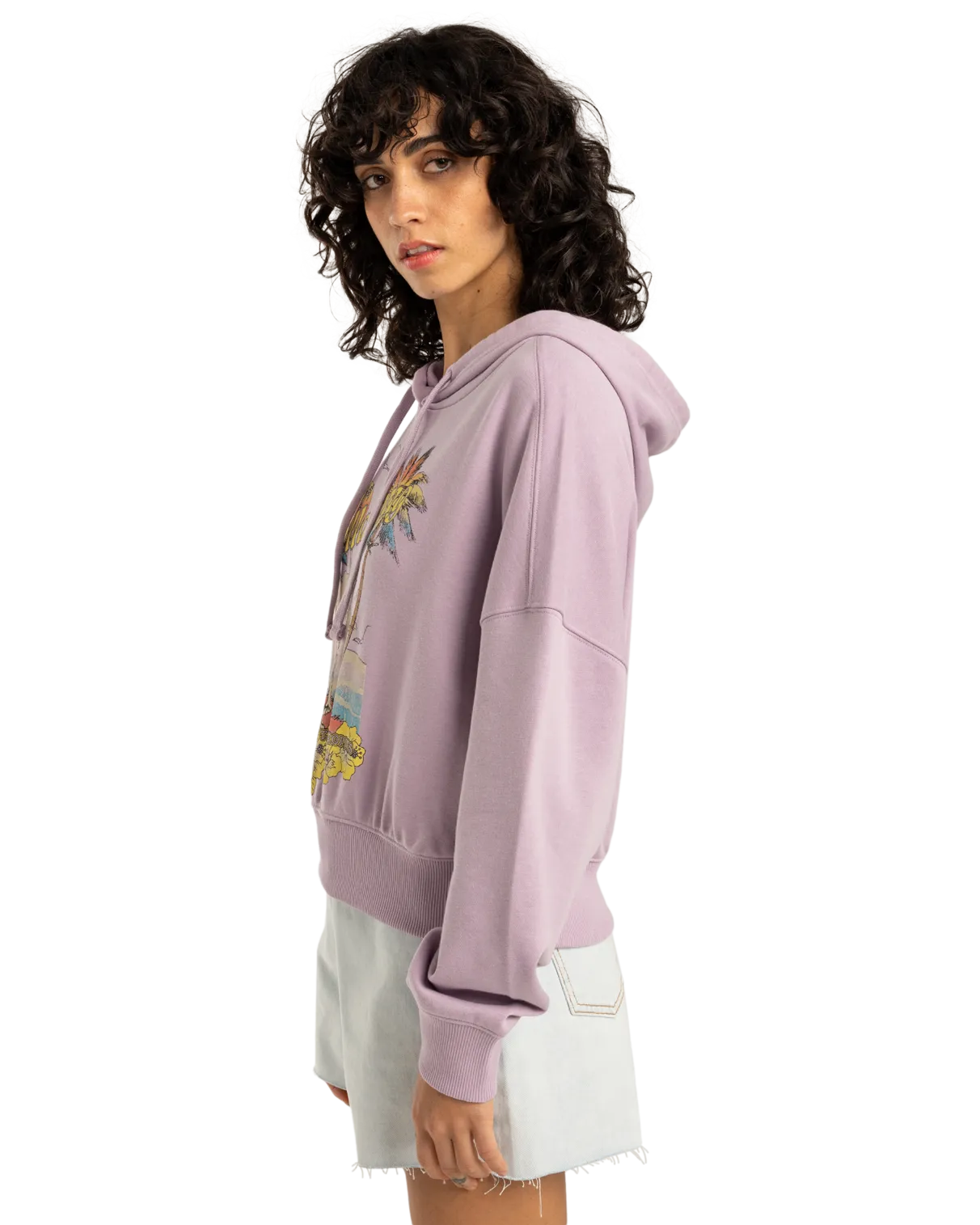 All Time Fleece Hoodie in Amethyst Smoke