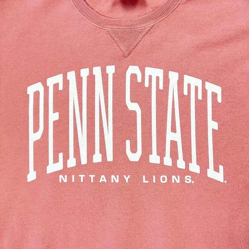 Comfort Wash Penn State Unisex Crewneck Sweatshirt