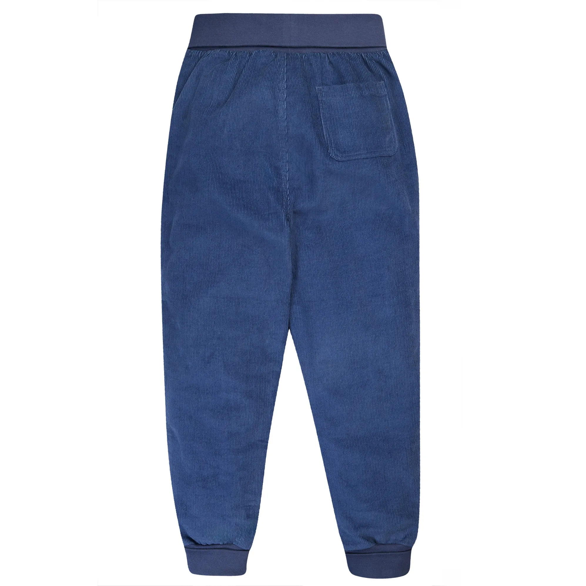 Corduroy pants- navy blue