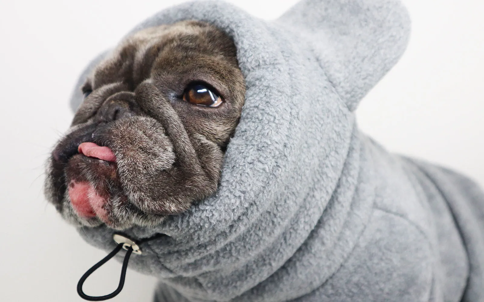 Frenchiestore Organic Dog Frenchie Ear Hoodie | Koala Bear