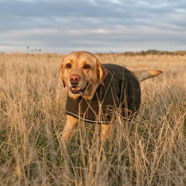 Therma-Dry Gundog Coat