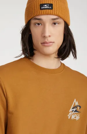 Torrey Crew Sweatshirt | Rich Caramel